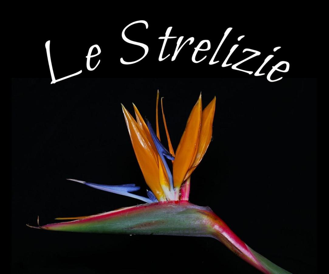 شقة Le Strelizie أرنيزانو المظهر الخارجي الصورة